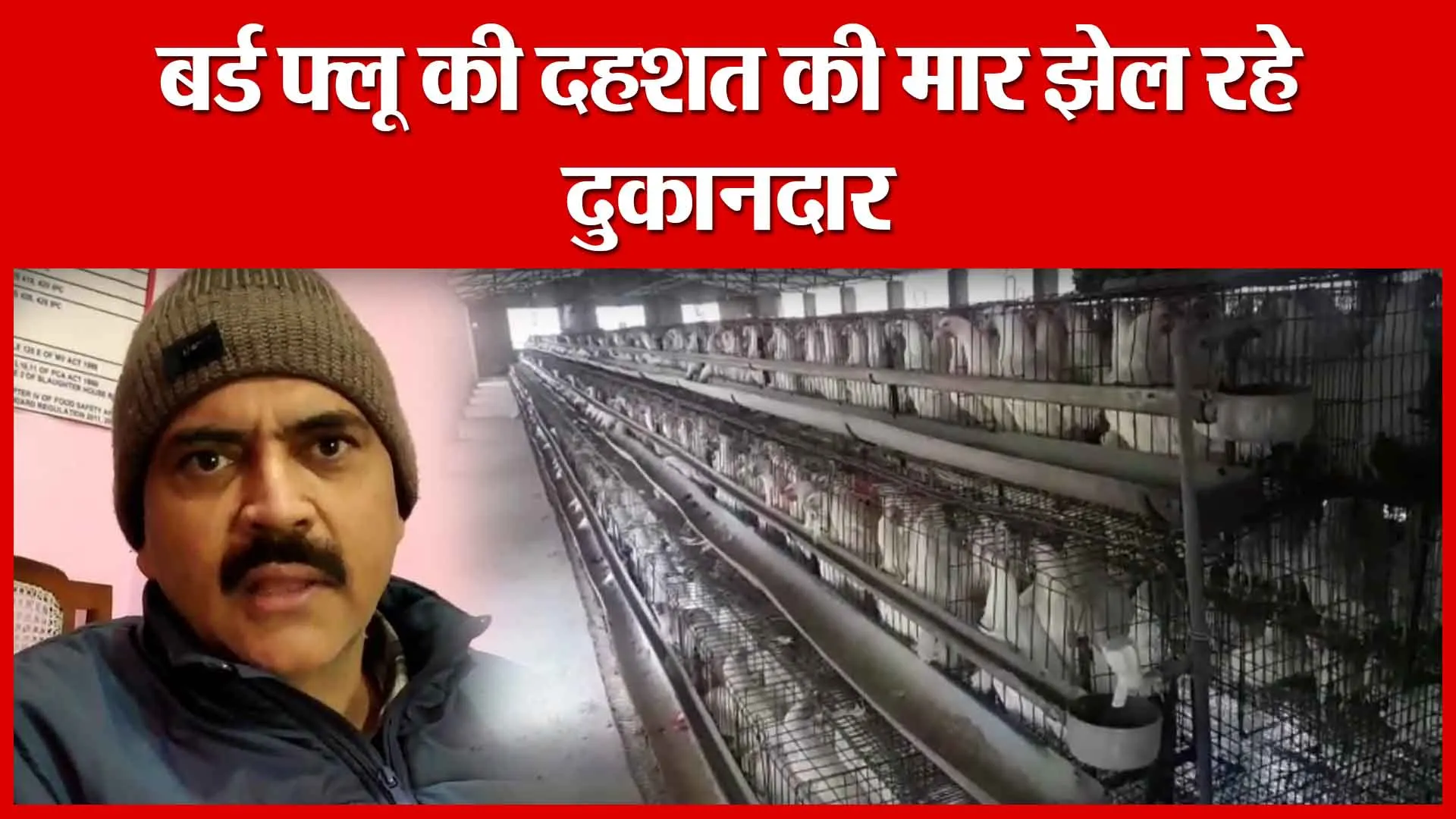 Moradabad: बर्ड फ्लू की दहशत की मार झेल रहे दुकानदार | Amritvichar