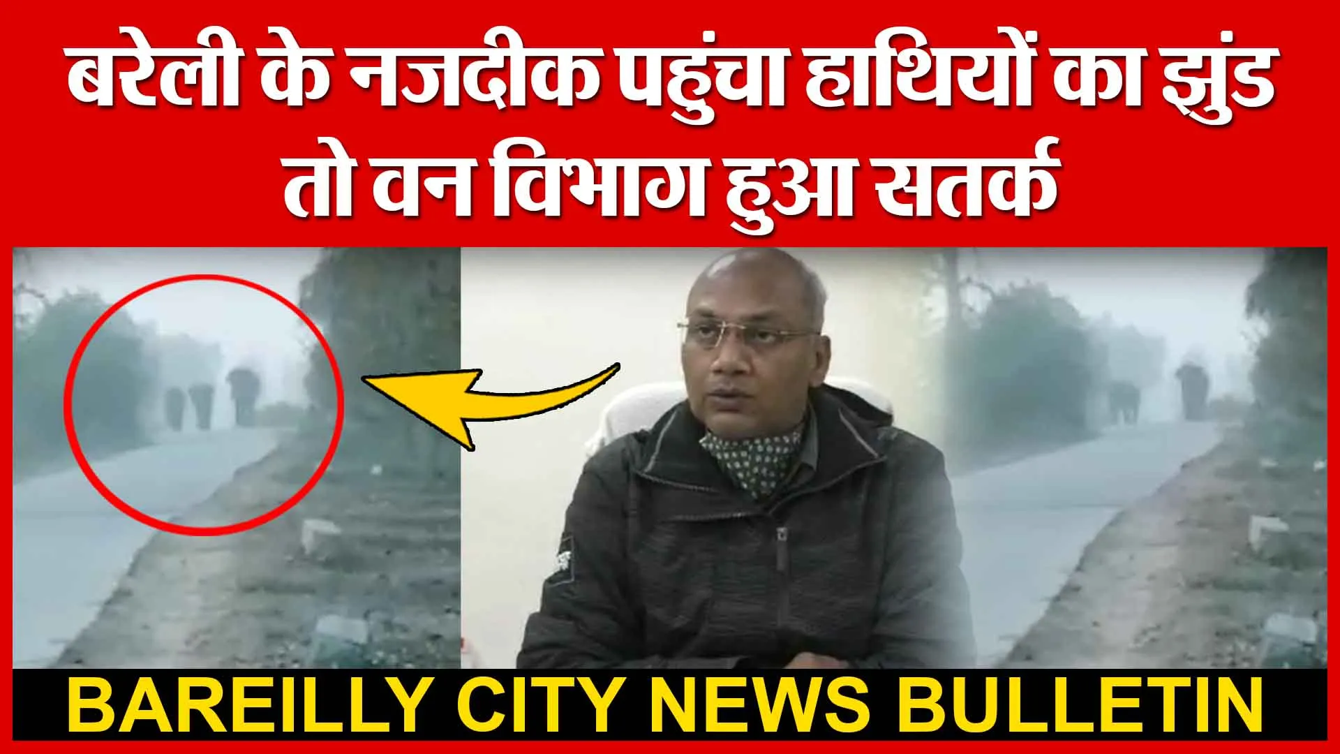 बरेली के नजदीक पहुंचा हाथियों का झुंड, तो वन विभाग हुआ सतर्क | Amritvichar