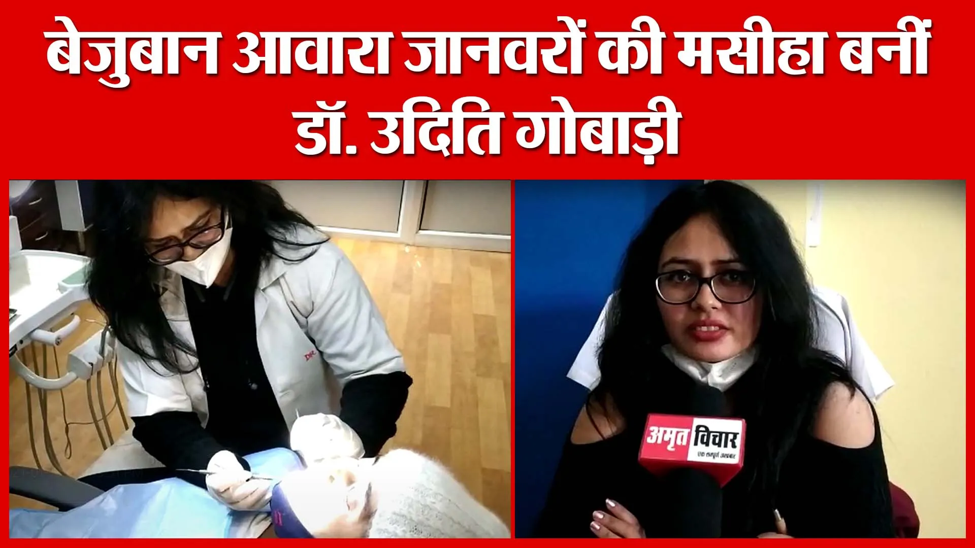 Haldwani: बेजुबान आवारा जानवरों की मसीहा बनीं डॉ. उदिति गोबाड़ी | Amritvichar