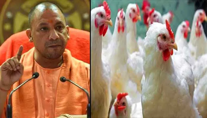 बर्ड फ्लू के खतरे को लेकर यूपी में अलर्ट, सीएम योगी ने दिए ये निर्देश