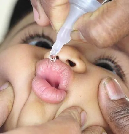 हल्द्वानी: नैनीताल जिले में तीस हजार से ज्यादा बच्चों ने पी दो बूंद जिंदगी की