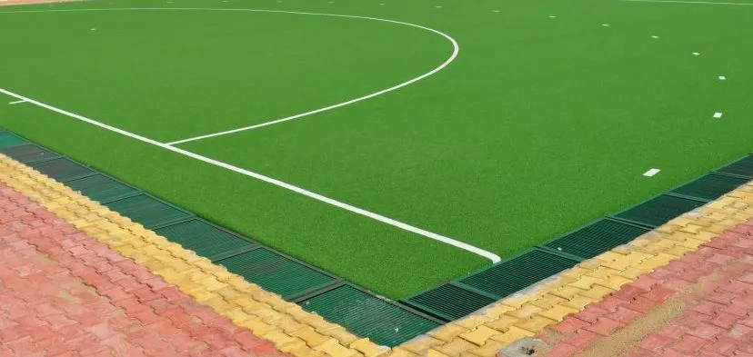 बरेली कॉलेज के हॉकी मैदान में एस्ट्रोटर्फ भी बनेगा