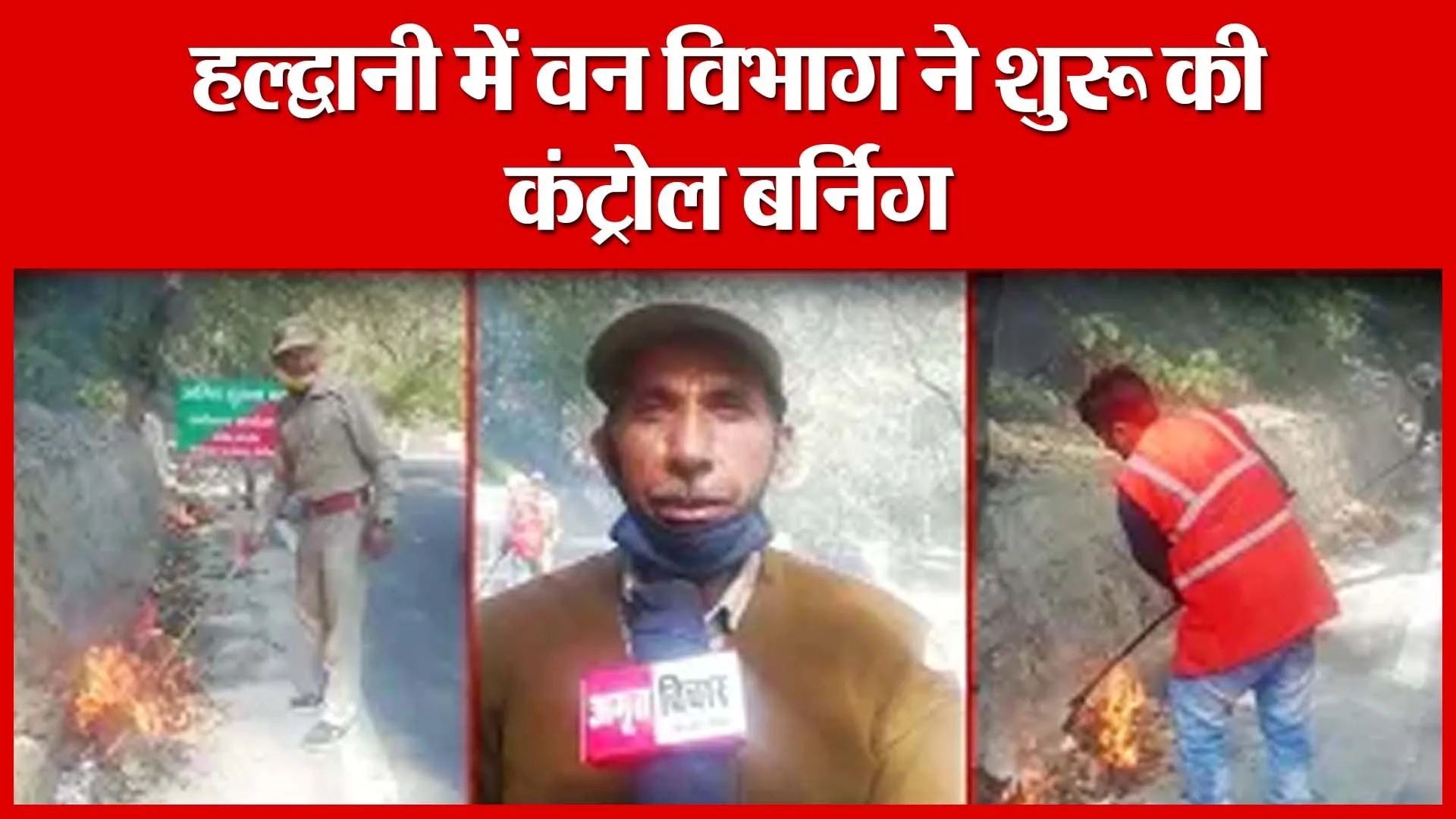 Haldwani: हल्द्वानी में वन विभाग ने शुरू की कंट्रोल बर्निग | Amritvichar