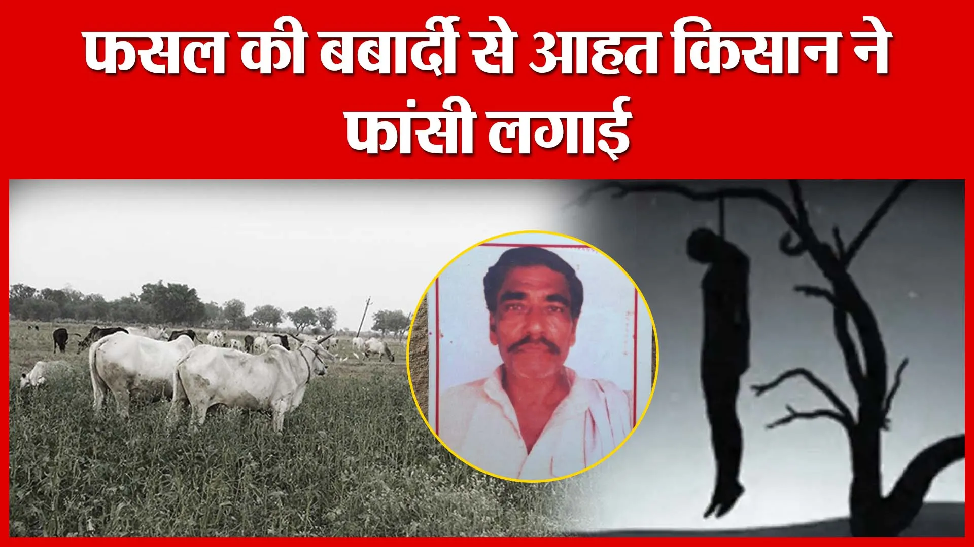 Banda: फसल की बर्बादी से आहत किसान ने फांसी लगाई | Amritvichar