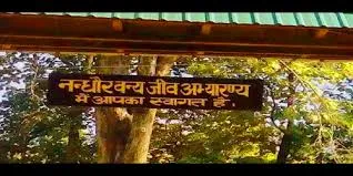 हल्द्वानी: नंधौर वन्यजीव अभ्यारण्य में शुरू होगी जिप्सी सफारी