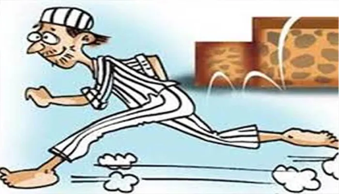 बरेली: केंद्रीय कारागार की दीवार कूदकर फरार हुआ कैदी