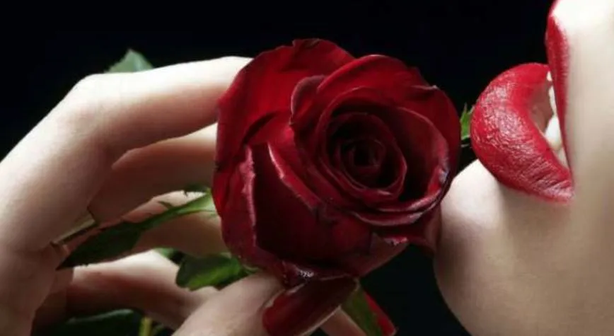 Rose Day: ये गुलाब नहीं आसां…बस इतना समझ लीजै, हर रंग अनोखा है और उसका मतलब भी जुदा है…