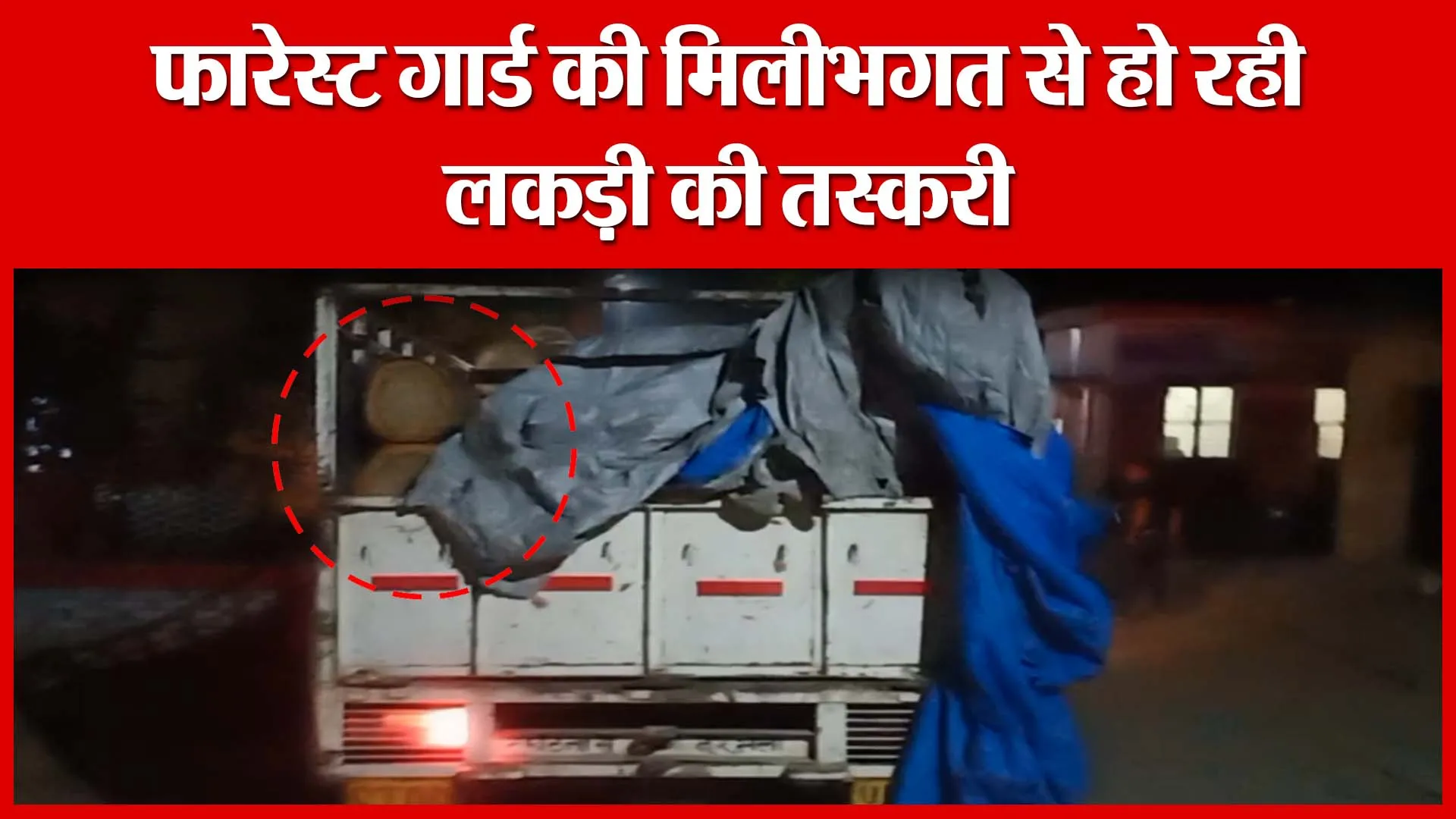 Shahjahanpur: फॉरेस्ट गार्ड की मिलीभगत से हो रही जंगल की लकड़ी की तस्करी | Amrit Vichar