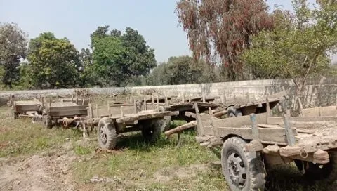 हल्द्वानी: अवैध खनन करे रहे 11 भैंसा बुग्गी को वन प्रभाग ने किया सीज