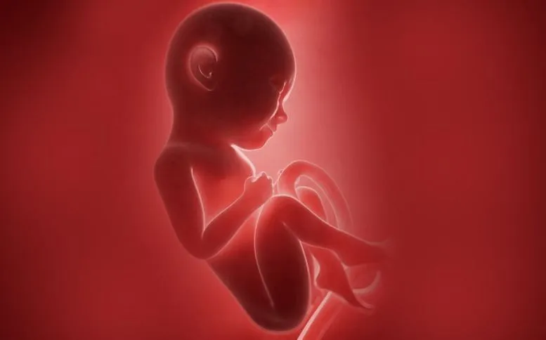 गर्भपात की अवधि बढ़ाने वाले विधेयक को संसद की मंजूरी