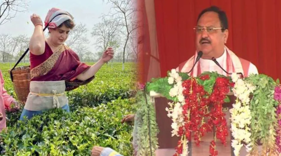 जेपी नड्डा ने प्रियंका पर कसा तंज, कहा- चाय की पत्तियां अप्रैल के बाद तोड़ी जाती, फिर यह फोटो शूट क्यों?
