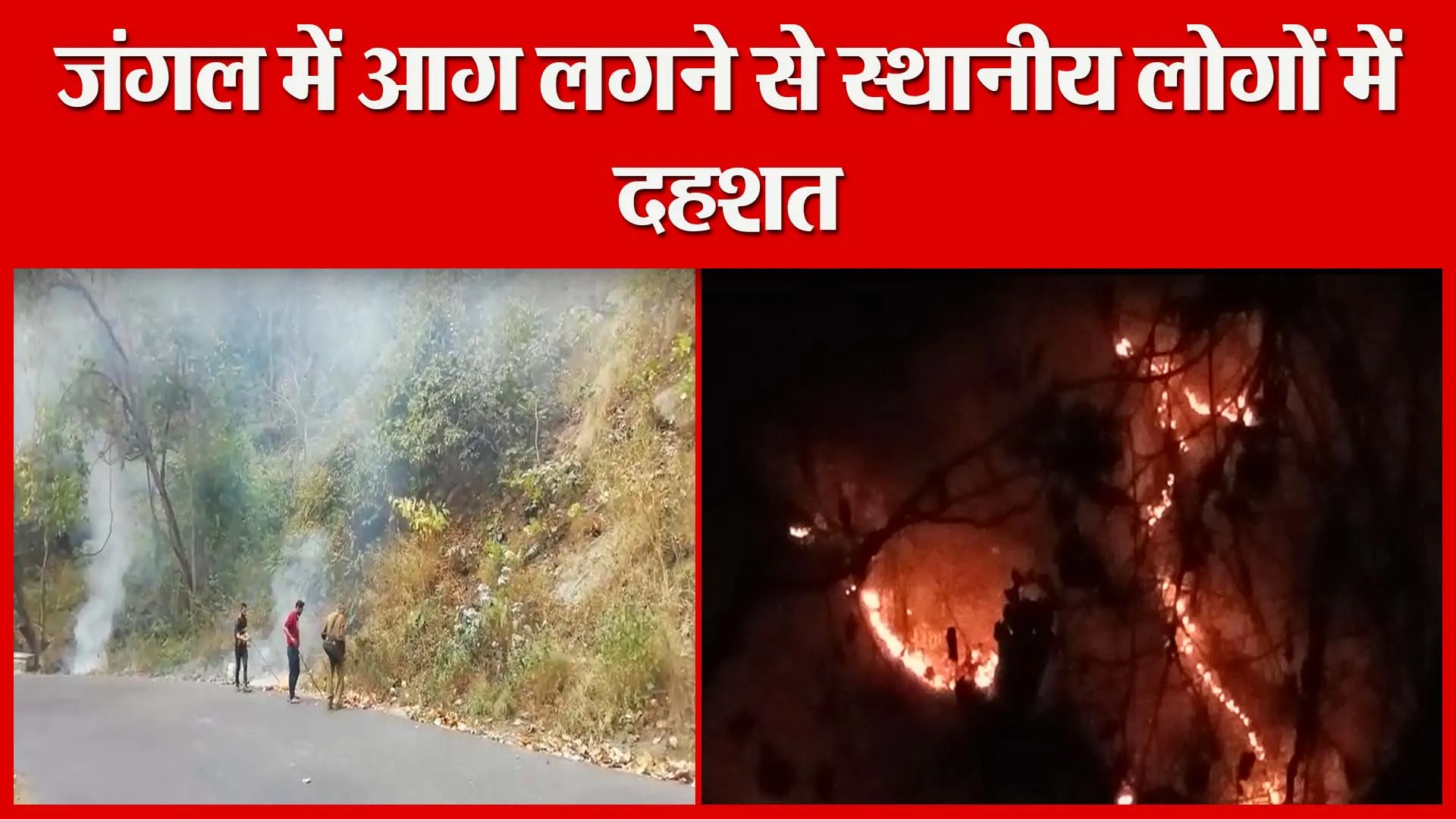 हल्द्वानी: जंगल में आग लगने से स्थानीय लोगों में दहशत | Amritvichar