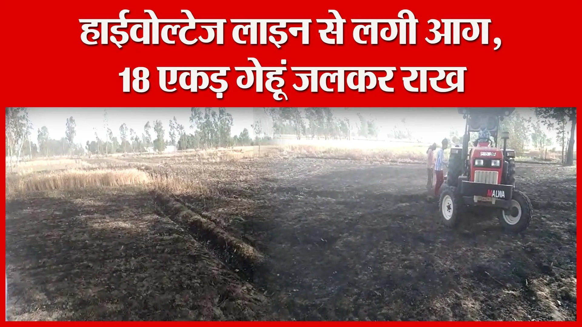 शाहजहांपुर: हाईवोल्टेज लाइन से लगी आग, 18 एकड़ गेहूं जलकर राख | Amritvichar