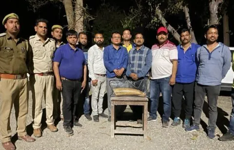 रुद्रपुर: हाथी दांत ले जा रहे चार तस्करों को एसटीएफ की टीम ने पकड़ा