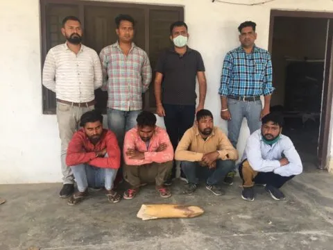 दिनेशपुर: पीपल पड़ाव रेंज से मिला हाथी का शव, दो महीने पहले हुई थी मौत