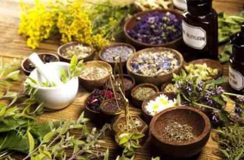 कोरोना से बचाव और इम्यून सिस्टम को मजबूत रखती हैं ये जन औषधियां