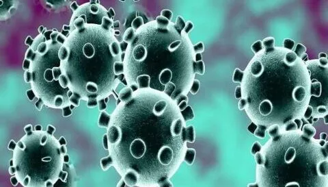 लखनऊ: आरटीओ कार्यालय में अधिकारी व कर्मचारी कोविड पॉजिटिव, सभी कार्य प्रभावित