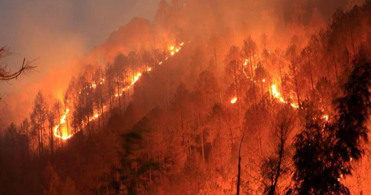 नैनीताल: जंगलों में लगी आग पर हाईकोर्ट गंभीर, सरकार को फटकार, प्रमुख वन संरक्षक तलब
