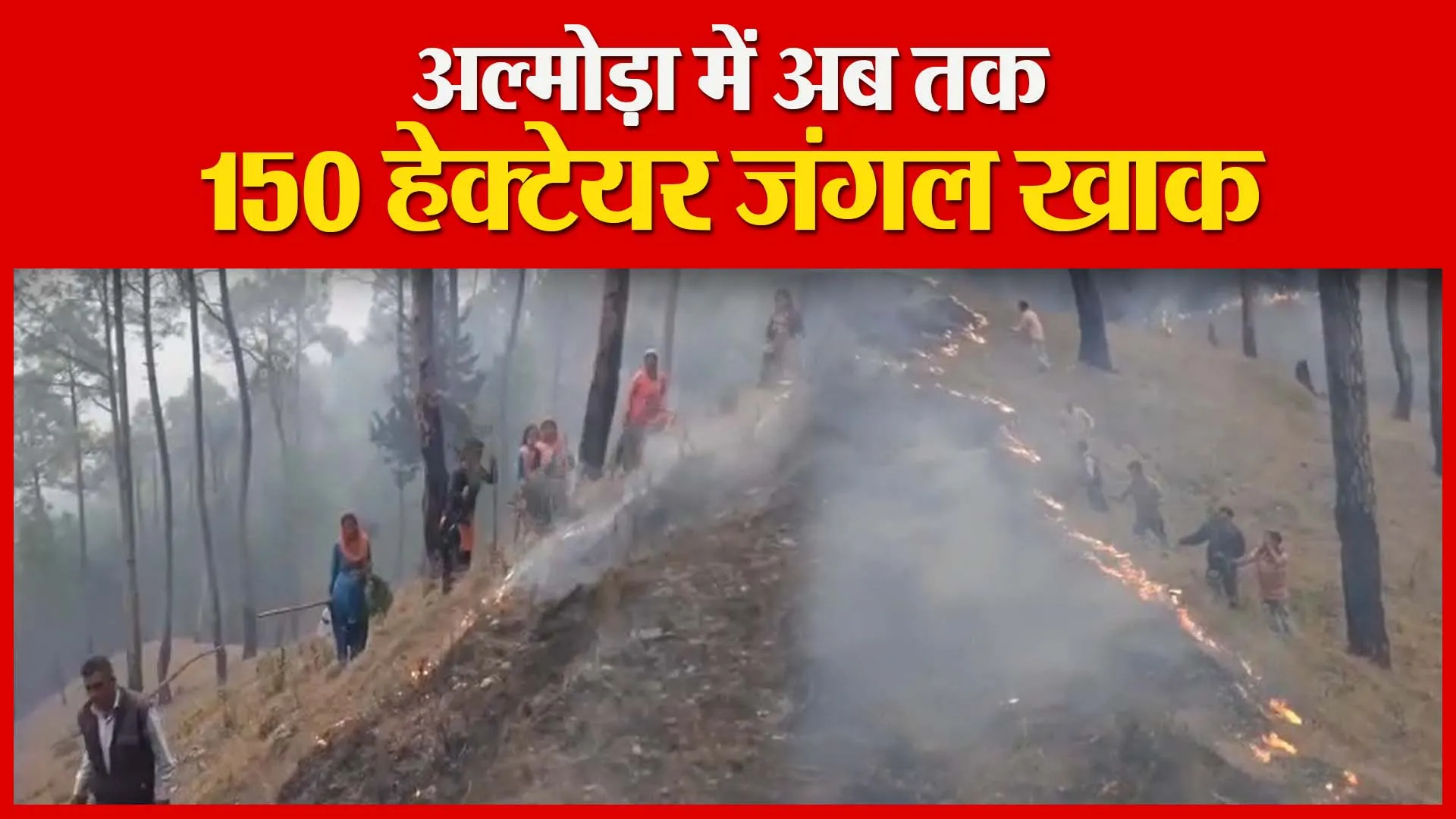 अल्मोड़ा में अब तक 150  हेक्टेयर जंगल खाक | Amritvichar