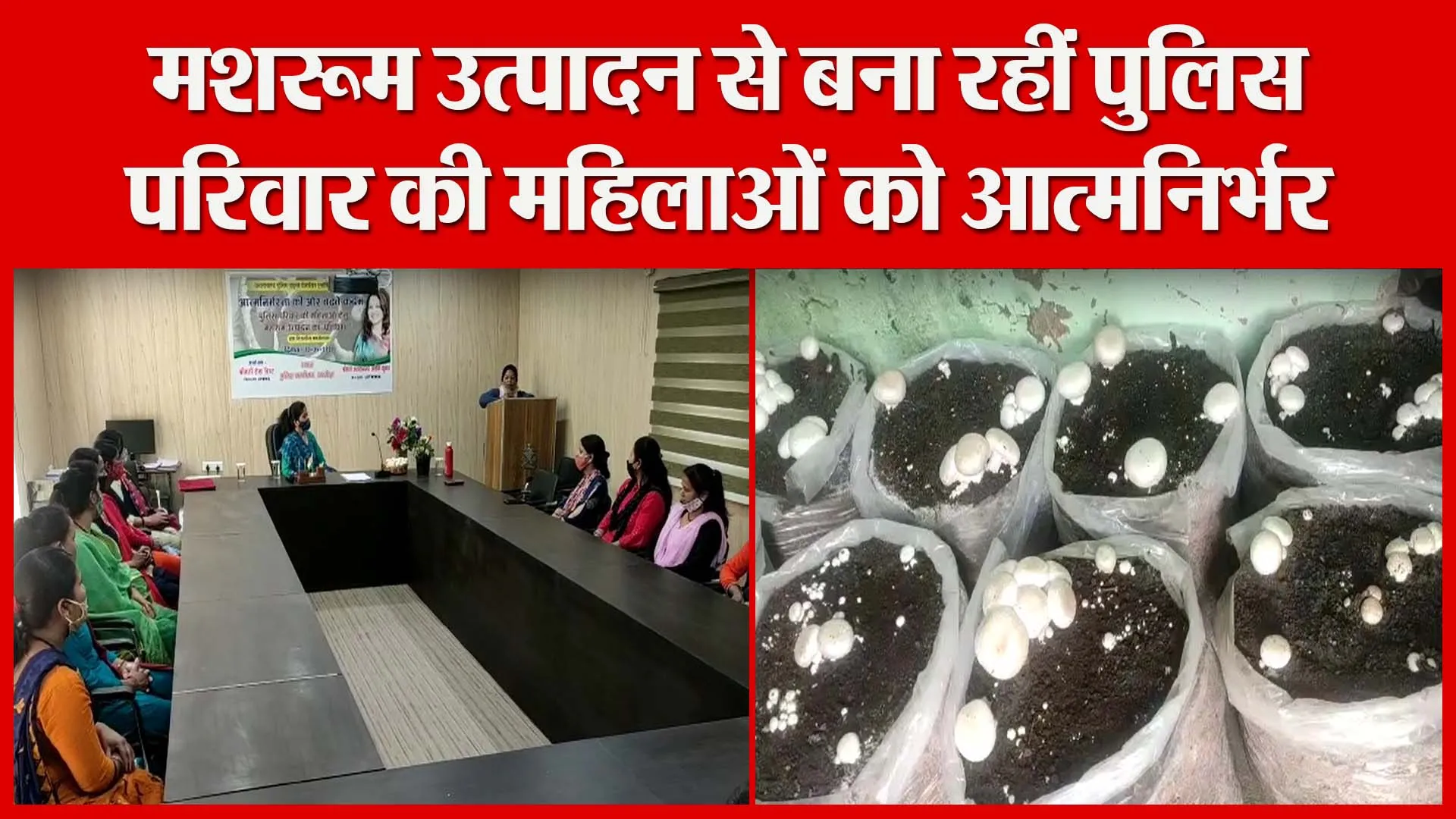 अल्मोड़ा: मशरूम उत्पादन से बना रहीं पुलिस परिवार की महिलाओं को आत्मनिर्भर | Amritvichar