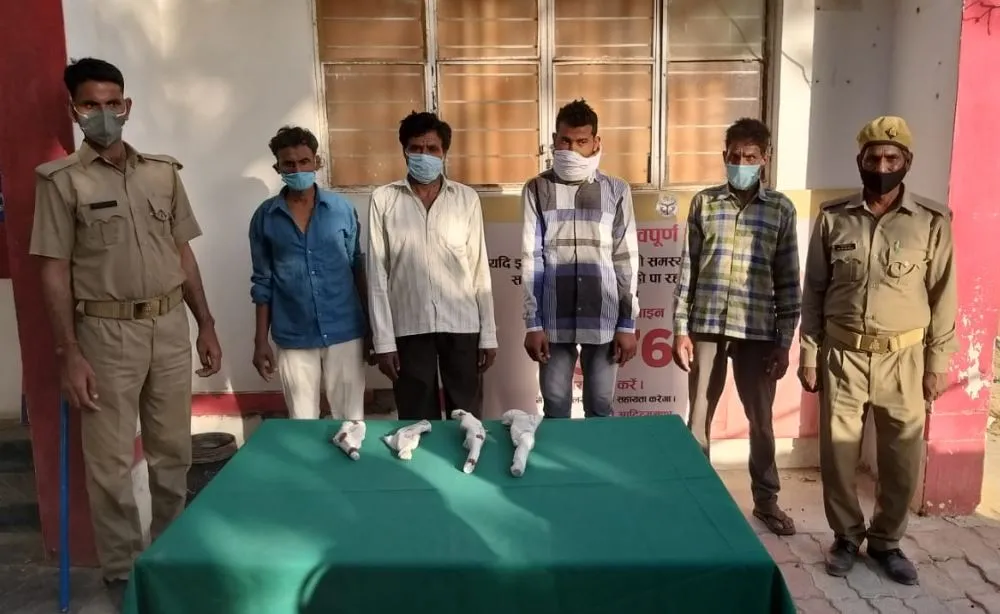 फतेहपुर: प्रतिबंधित मांस और अवैध असलहा समेत चार लोग गिरफ्तार