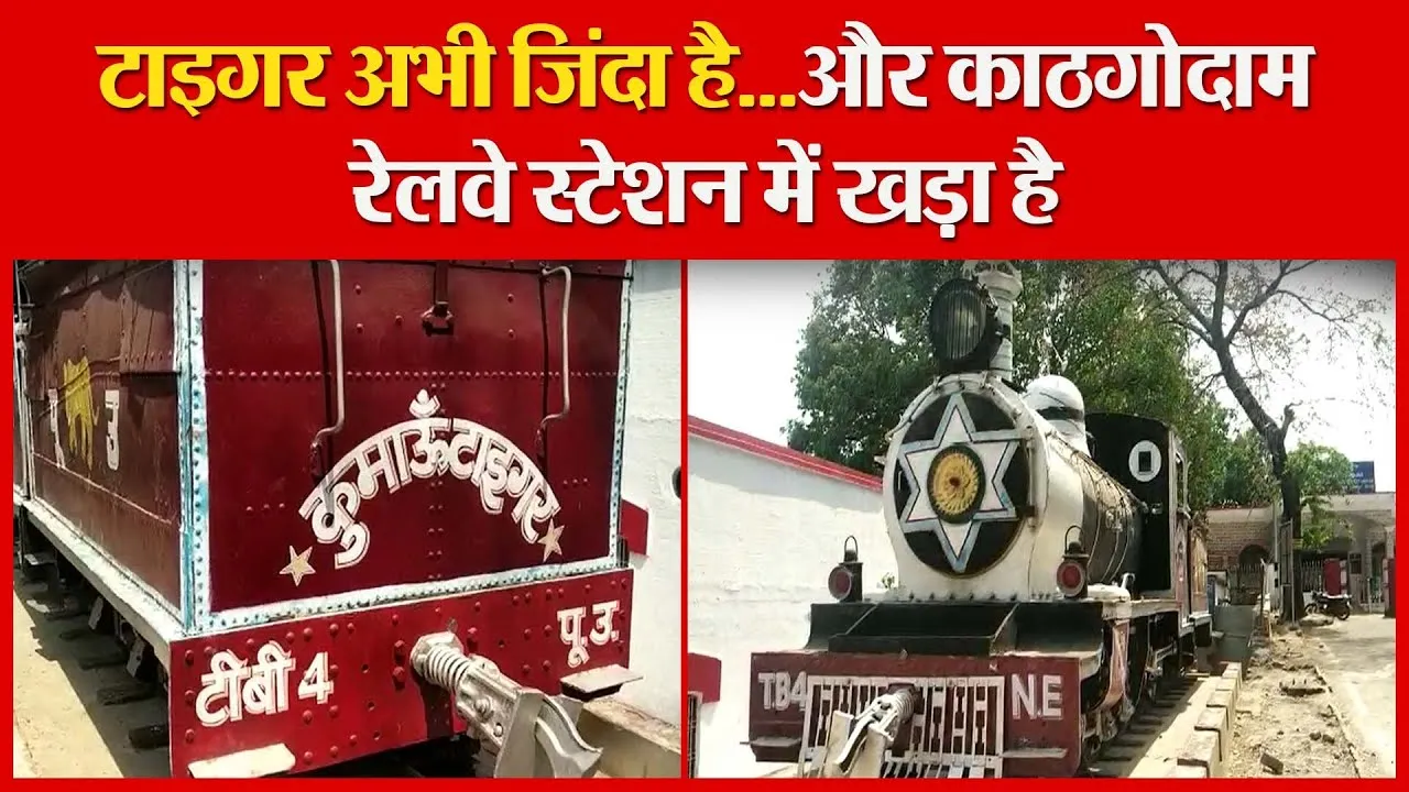 हल्द्वानी: टाइगर अभी जिंदा है…और काठगोदाम रेलवे स्टेशन में खड़ा है | Amritvichar