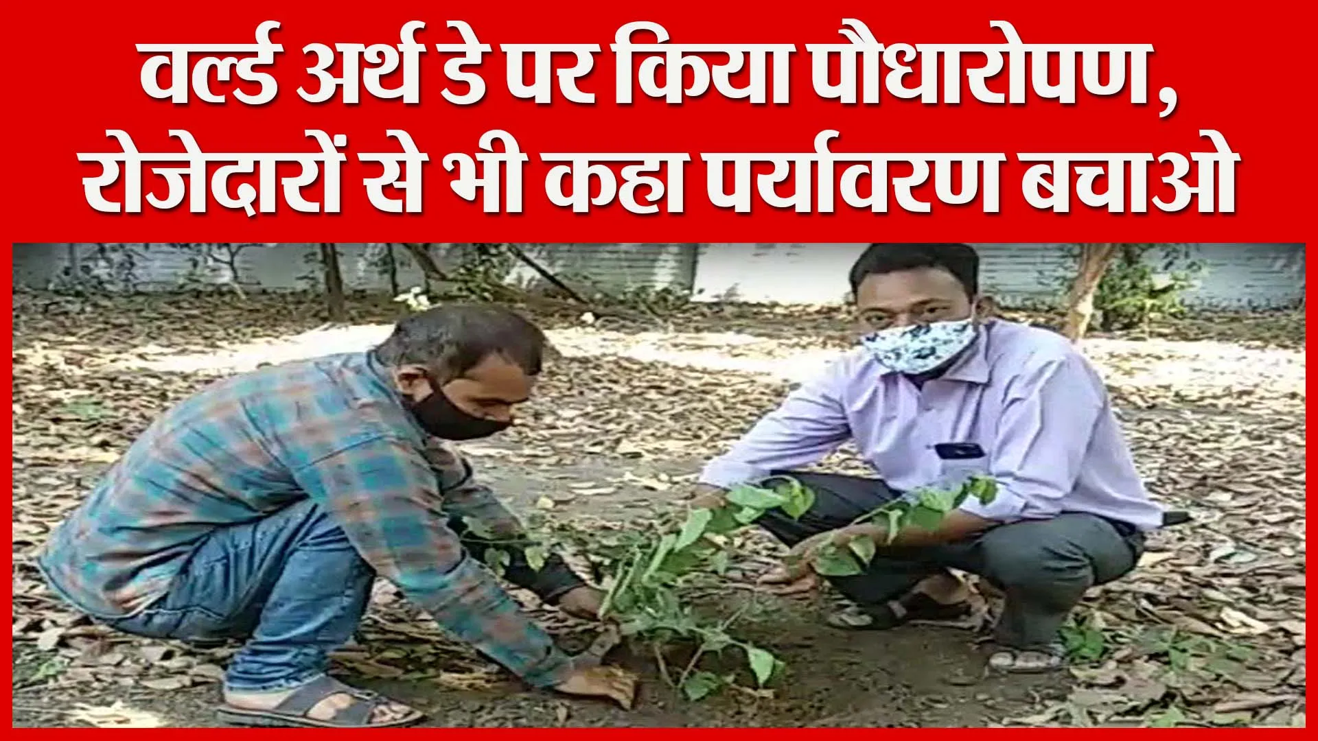 बरेली: वर्ल्ड अर्थ डे पर किया पौधारोपण, रोजेदारों से भी कहा पर्यावरण बचाओ | Amritvichar