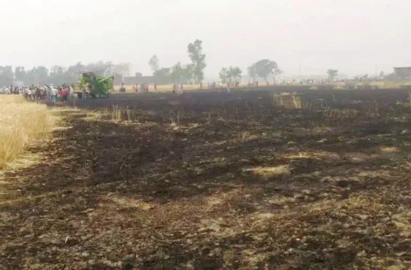 महाराजगंज: आग लगने से गेहूं की पांच एकड़ खड़ी फसल जलकर राख