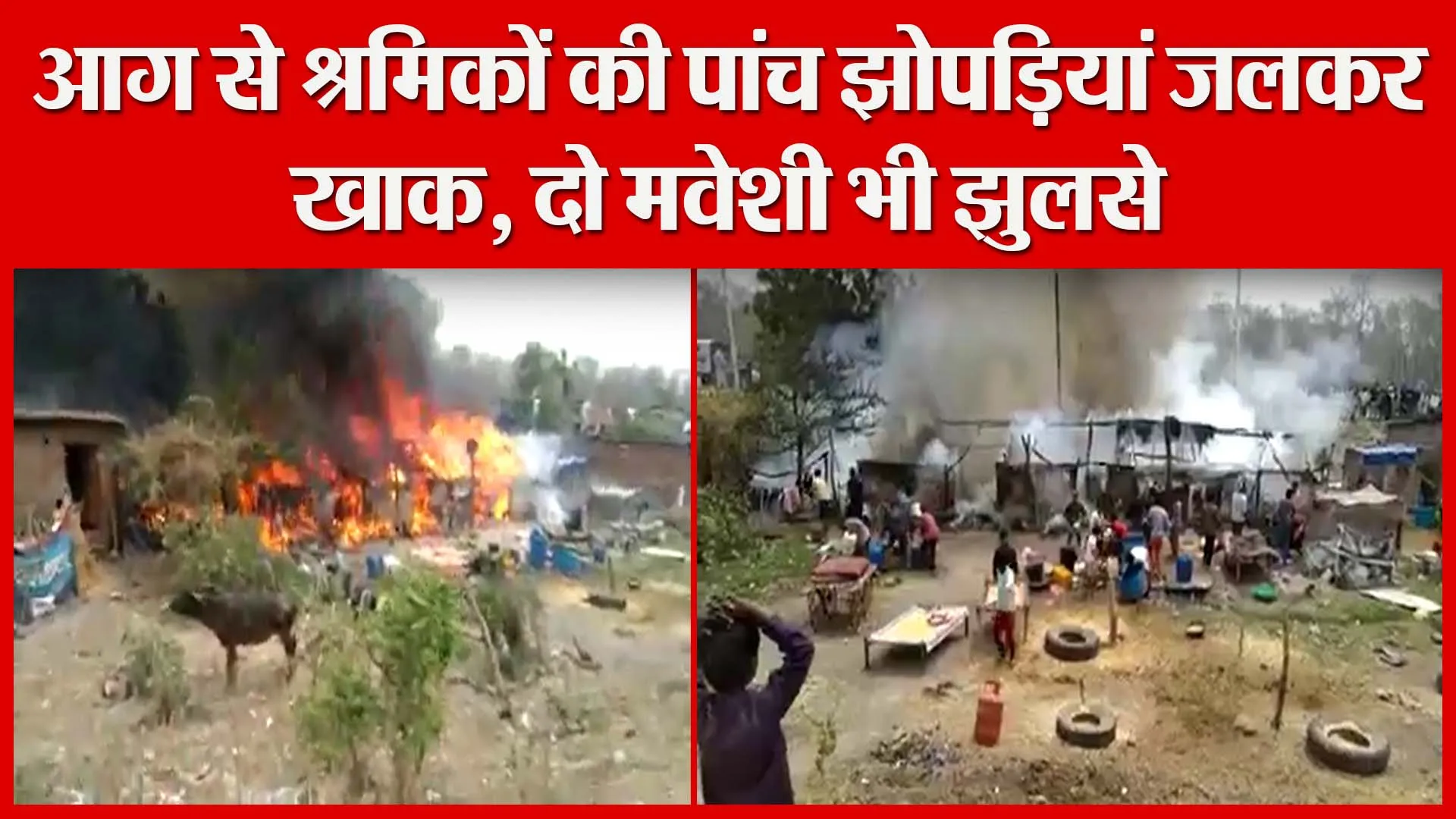हल्द्वानी: आग से श्रमिकों की पांच झोपड़ियां जलकर खाक, दो मवेशी भी झुलसे | Amritvichar