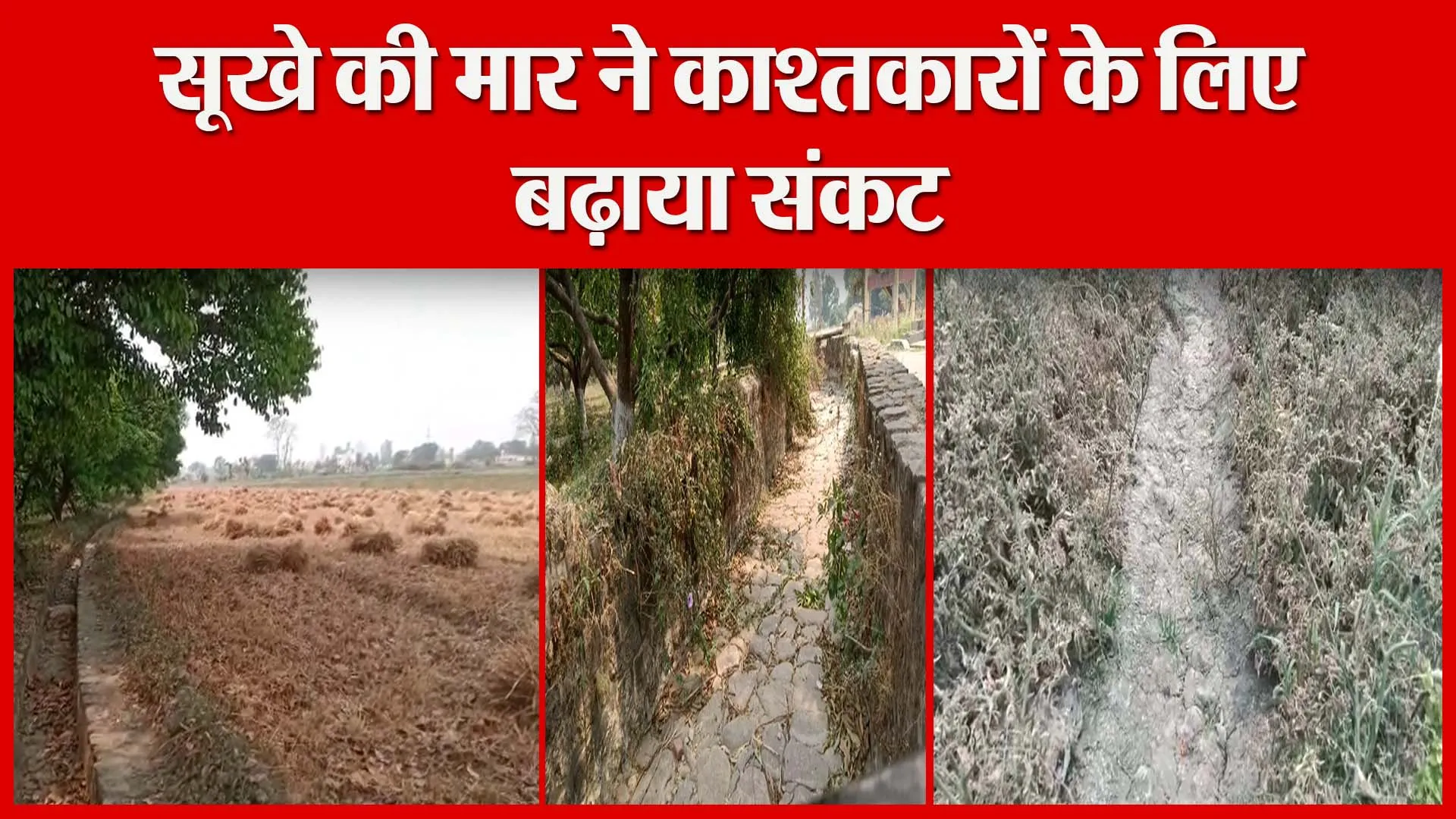 सूखे की मार ने काश्तकारों के लिए बढ़ाया संकट | Amritvichar