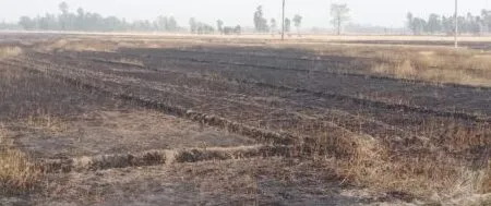 खटीमा: देर रात लगी आग से गेहूँ के खेत जलकर राख