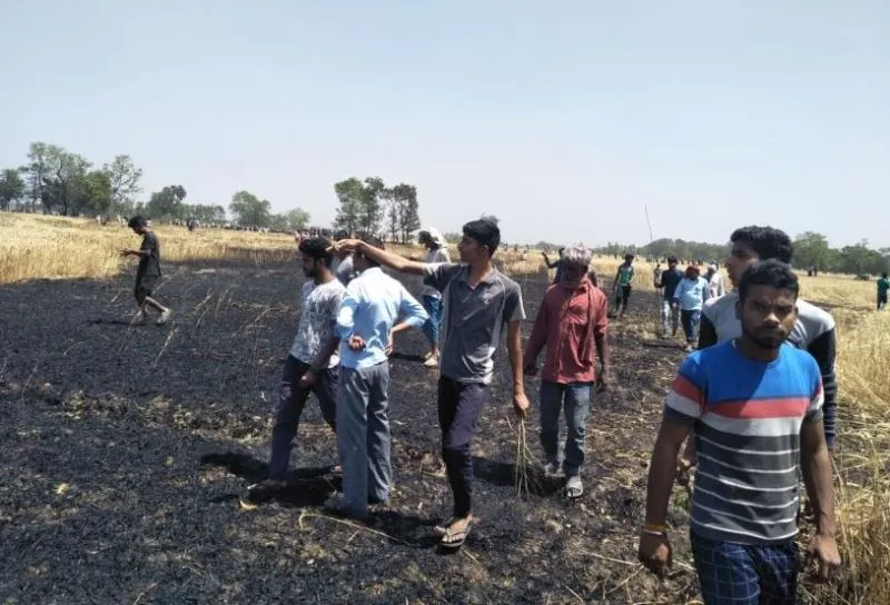 कुशीनगर: आग लगने से गेहूं की 10 एकड़ खड़ी फसल जलकर राख