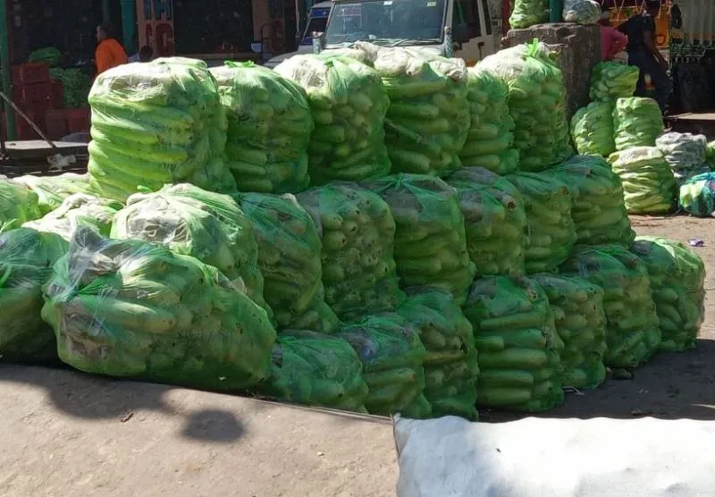 बरेली: बाजार में आ रही हाईब्रिड लौकी और तोरई, बिगाड़ सकती है सेहत