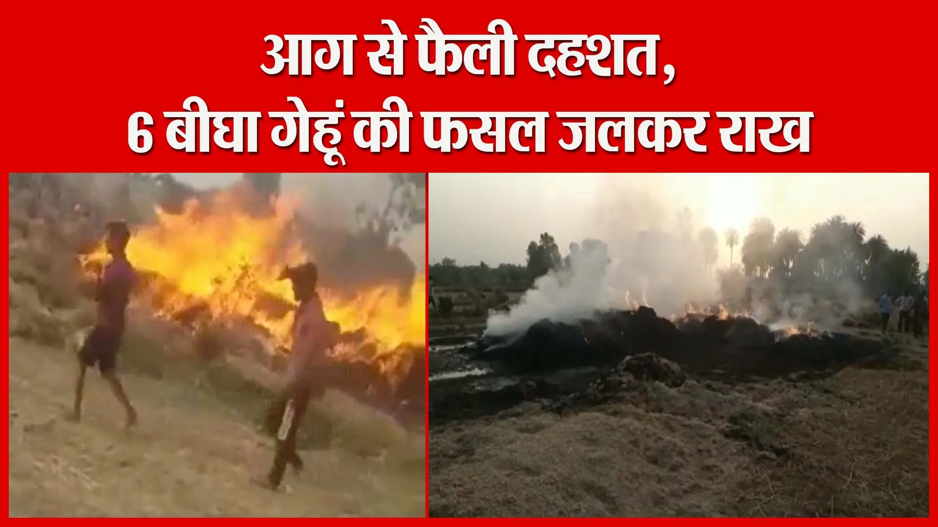 मुरादाबाद: आग से फैली दहशत, 6 बीघा गेहूं की फसल जलकर राख | Amritvichar
