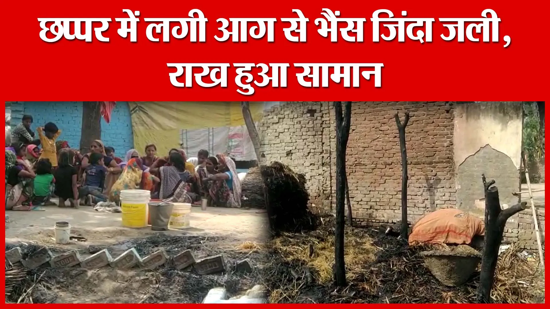 शाहजहांपुर: छप्पर में लगी आग से भैंस जिंदा जली, राख हुआ सामान | Amritvichar