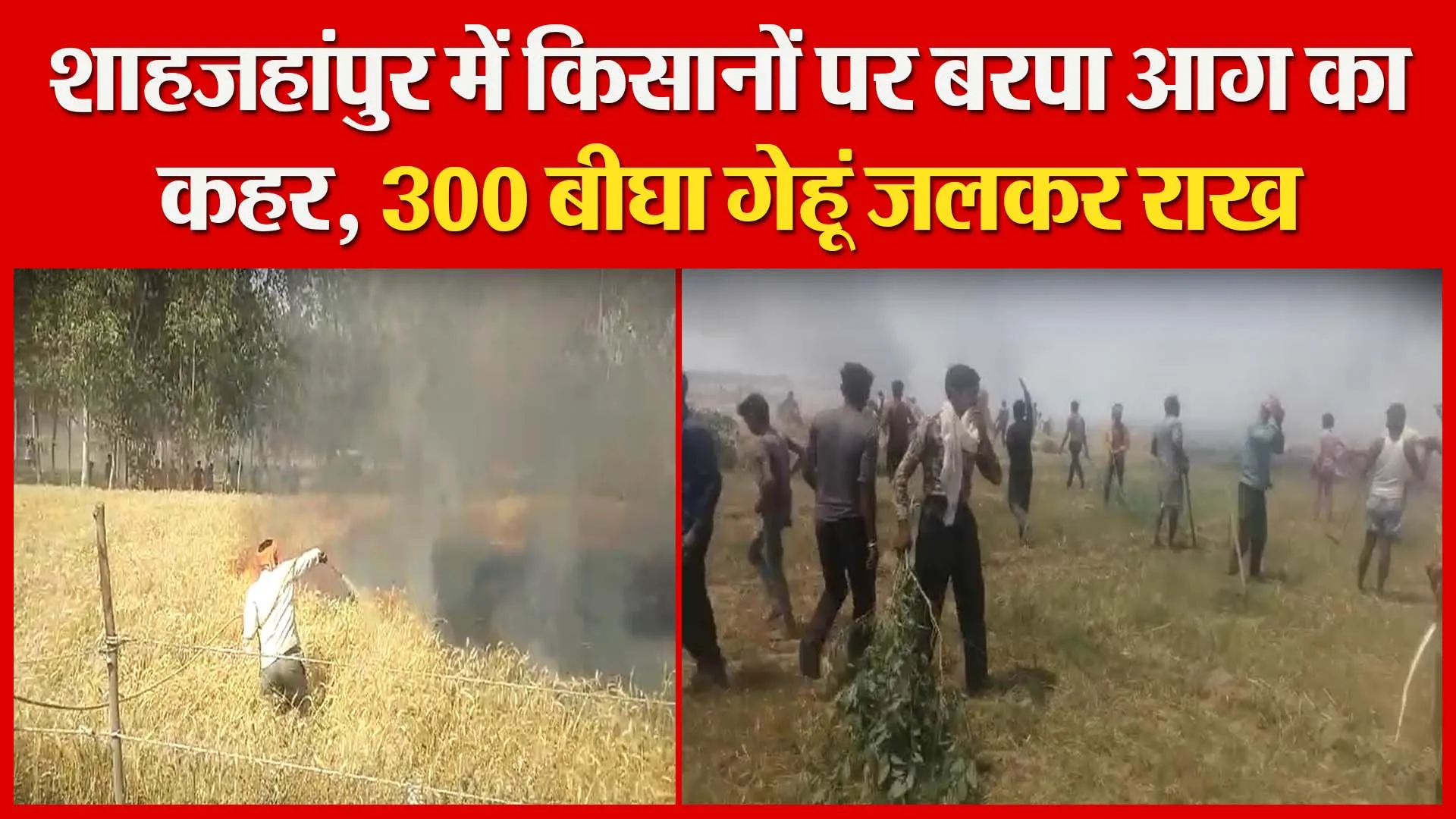 शाहजहांपुर में किसानों पर बरपा आग का कहर, 300 बीघा गेहूं जलकर राख | Amritvichar