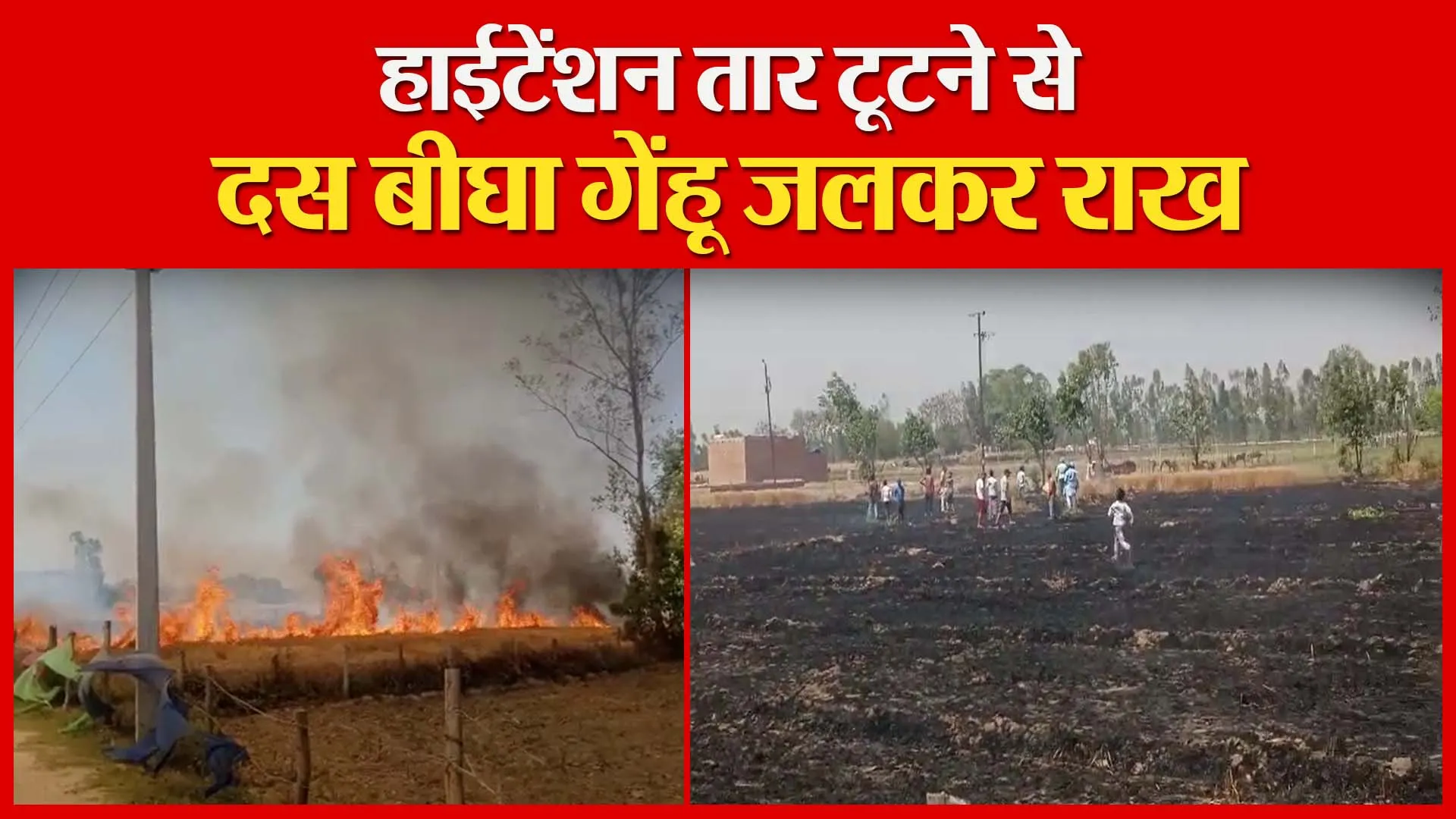 शाहजहांपुर: हाईटेंशन तार टूटने से दस बीघा गेंहू जलकर राख | Amritvichar
