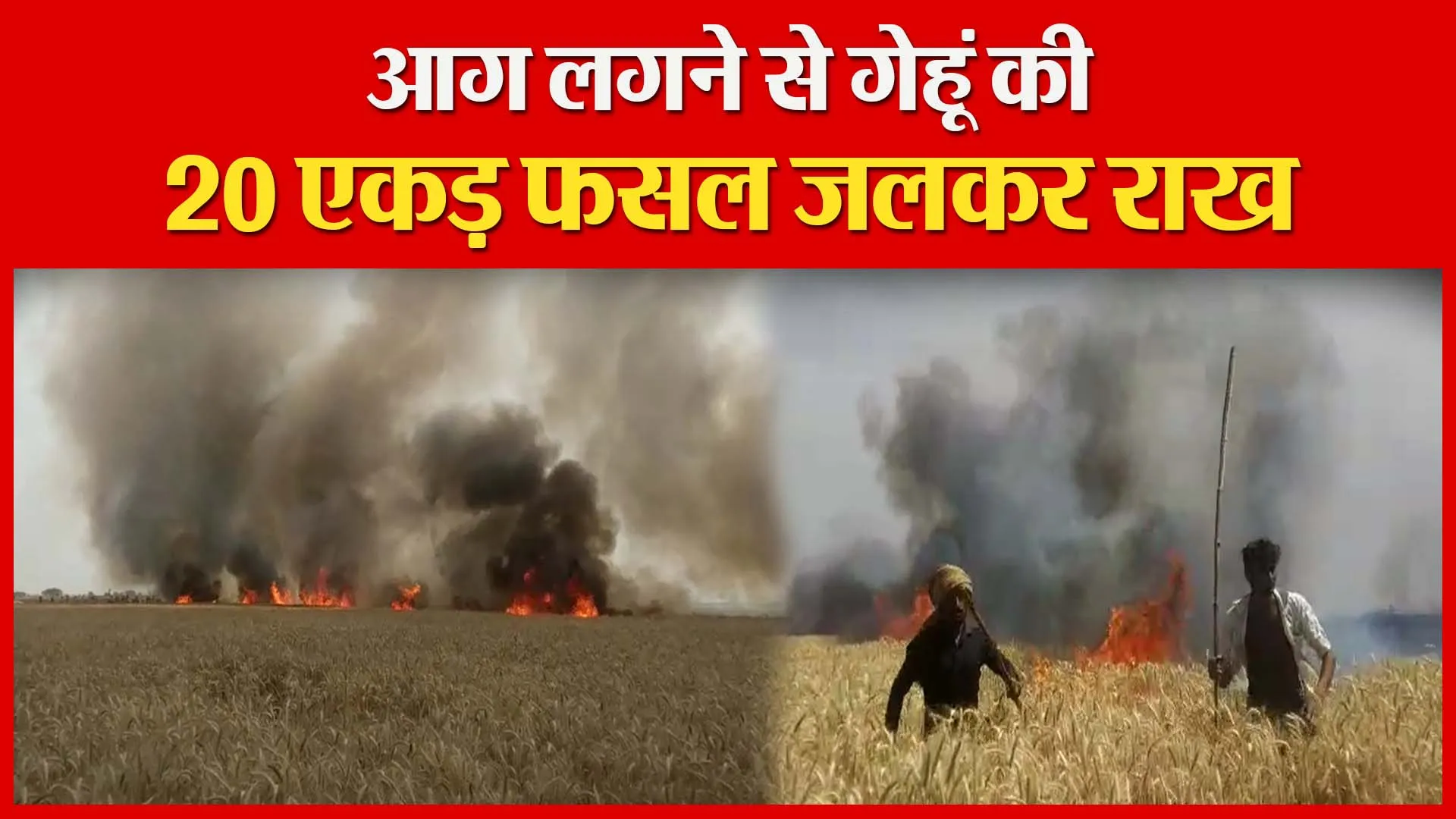 शाहजहांपुर: आग लगने से गेहूं की 20 एकड़ फसल जलकर राख | Amritvichar