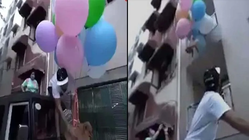 हीलियम के गुब्बारों से बांधकर कुत्ते को उड़ाया, वीडियो पोस्ट करते ही यूट्यूबर गिरफ्तार