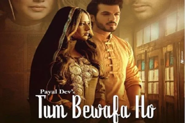 निया शर्मा और अर्जुन बिजलानी के दर्द से भरा है ये गाना, ऑडियंस को पसंद आई केमेस्ट्री