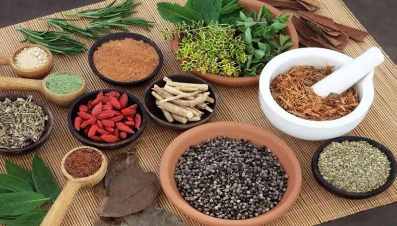बरेली: कोरोना महामारी में बढ़ी आयुर्वेद की उपयोगिता, इस तरह रखें खुद को स्वस्थ