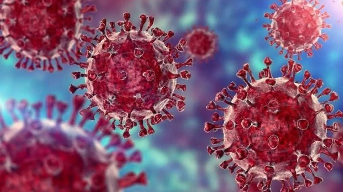 विश्व में कोरोना संक्रमितों की संख्या 17 करोड़ के करीब, 35.33 लाख से ज्यादा लोगों ने गंवाई जान