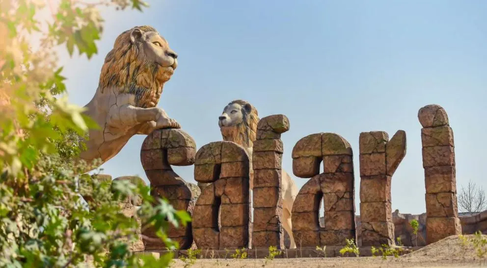 शेरों का शिकार करता कोरोना… शेरनी संक्रमित, इटावा लॉयन सफारी में अलर्ट