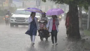 Rain