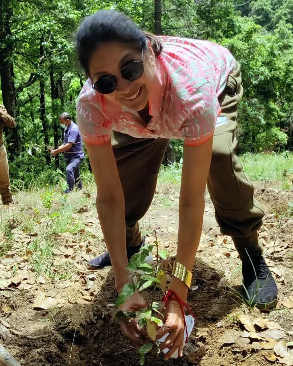 हल्द्वानी: बॉलीवुड अभिनेत्री नीना गुप्ता ने आईवीआरआई के जंगल में किया पौधरोपण