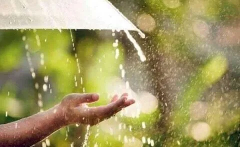 हल्द्वानी: पहाड़ों की बारिश ने मैदानों में दिलाई गर्मी से राहत, 13 जून तक भारी बारिश की संभावना