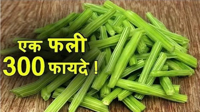 स्वास्थ्यवर्धक आहार: तेज इम्यूनिटी बढ़ाने के लिए करें सहजन का इस्तेमाल, होते हैं अनेक लाभ