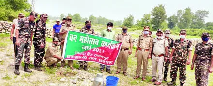 टनकपुर: फलदार व इमारती प्रजातियों के पौधरोपण के साथ वन महोत्सव शुरू