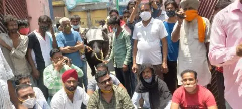 किच्छा: सरकार से नाराज व्यापारियों ने बजाई भैंस के आगे बीन