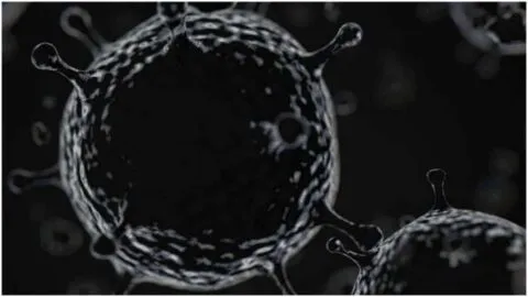 कोरोना की तीसरी लहर में ब्लैक फंगस का रहेगा खतरा, बरतें ये सावधानी…